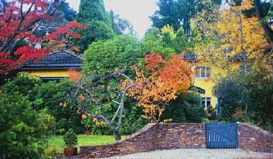 Moniques Bed And Breakfast - SA Accommodation 3