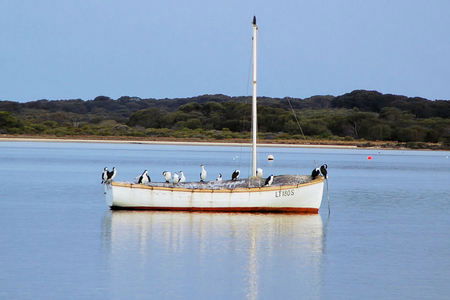 Riverview Cottage - SA Accommodation 1