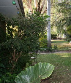 Douglas Daly Holiday Park - SA Accommodation 1