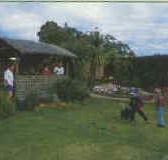 Tambo Lodge - SA Accommodation