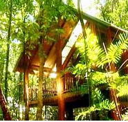 The Canopy Treehouses - SA Accommodation