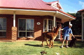 Scott River WA SA Accommodation