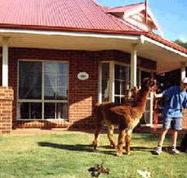 Brilea Cottages - SA Accommodation