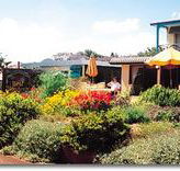 Best Western Applegum Inn Motel - Toowoomba - SA Accommodation