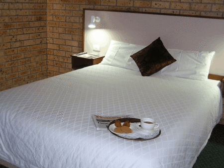 Comfort Inn Marco Polo - SA Accommodation 3