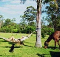 Neds Bed Horse O Tel - SA Accommodation