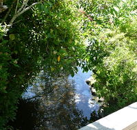 Mole Creek Hotel - SA Accommodation