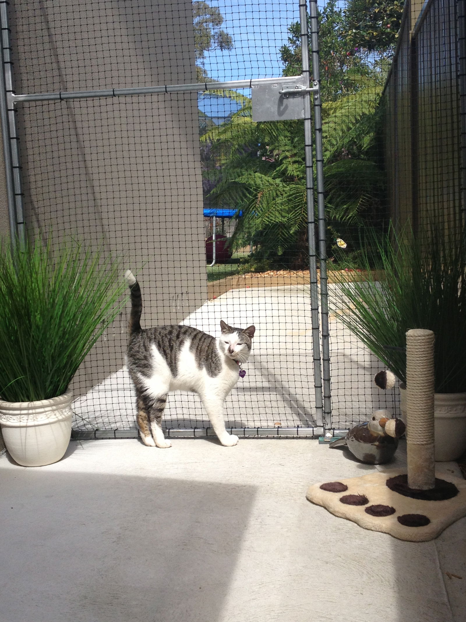 Caringbah South NSW SA Accommodation
