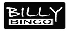 Billy Bingo @ Village Green Hotel - SA Accommodation 0