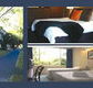 The Albany - SA Accommodation