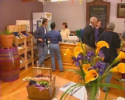 Settlers Ridge Organic Wines - SA Accommodation 0