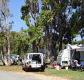 Elliston Caravan Park - SA Accommodation