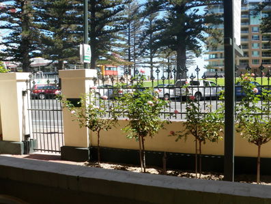 Grandview House Apartments - SA Accommodation 5