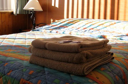 Mount Lyell Motor Inn - SA Accommodation 2
