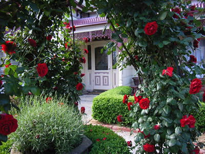 Bed And Breakfast At Stephanie's - SA Accommodation 0