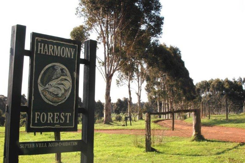 Forest Grove WA SA Accommodation