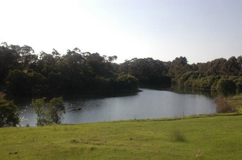 Harmony Forest - SA Accommodation 1