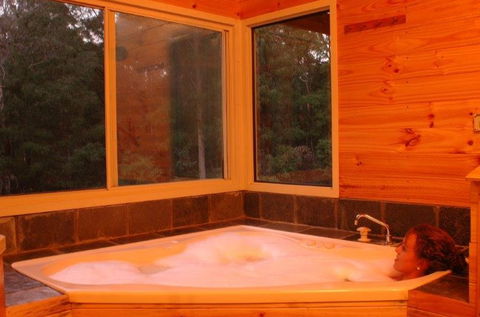 Harmony Forest - SA Accommodation 3