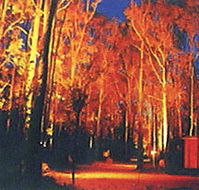 Dwellingup Chalet amp Caravan Park - SA Accommodation