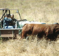 Bullo River Station - SA Accommodation