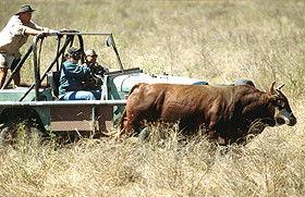 Bullo River Station - SA Accommodation 0