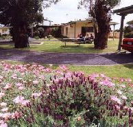 Brigadoon Holiday Units - SA Accommodation