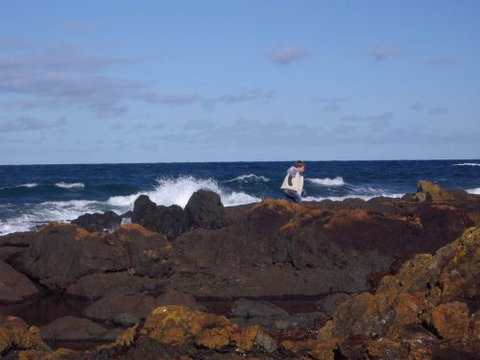 Walkerville South Accommodation - SA Accommodation 1