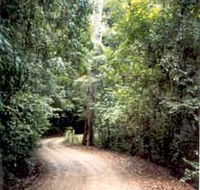 Mt Glorious Getaway Cottages And Conference Centre - SA Accommodation
