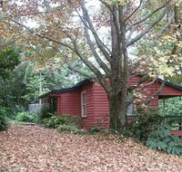 Turkeys Nest Rainforest Cottage - SA Accommodation