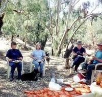 Bimbimbi And Little Hollow Farm Stay - SA Accommodation