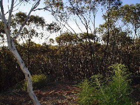 Smiths Gully ACT SA Accommodation