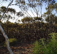 Lions Dryandra Woodlands Village - SA Accommodation