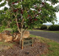 Belle Vue Studio - SA Accommodation
