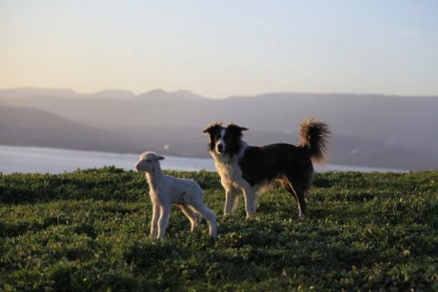 Bruny Island Guest House - SA Accommodation 5