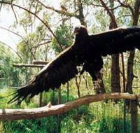 Curlew Hill Sanctuary - SA Accommodation