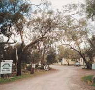 Beautiful Valley Caravan Park Cabins - SA Accommodation