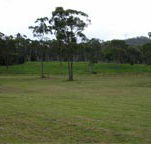 Mt White Lodge - SA Accommodation