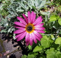 Kiewa Country Cottages - SA Accommodation