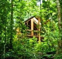 Fur'N'Feathers Rainforest Tree Houses - SA Accommodation