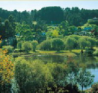 Possum Cottage On The Lake - SA Accommodation