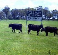 Cluan Homestead - SA Accommodation