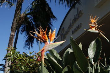 Beachside Resort - Kawana Waters - SA Accommodation 4