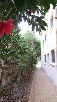 Waldorf Hornsby Residential Apartments - SA Accommodation 8