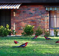Crimson Villa - SA Accommodation