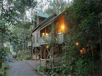Barrington Wilderness Cedar Lodge Accommodation - SA Accommodation 3