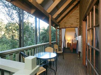 Barrington Wilderness Cedar Lodge Accommodation - SA Accommodation 5