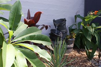 Riverside Motel - SA Accommodation 9