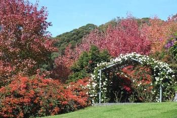 Terrigal Hinterland Bed And Breakfast - SA Accommodation 11