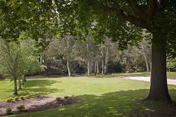 Best Western Yarra Valley - SA Accommodation 32