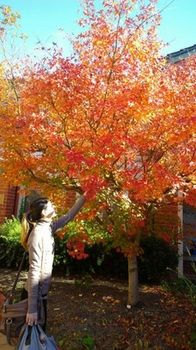 Australian Home Away @ Box Hill 21 - SA Accommodation 15